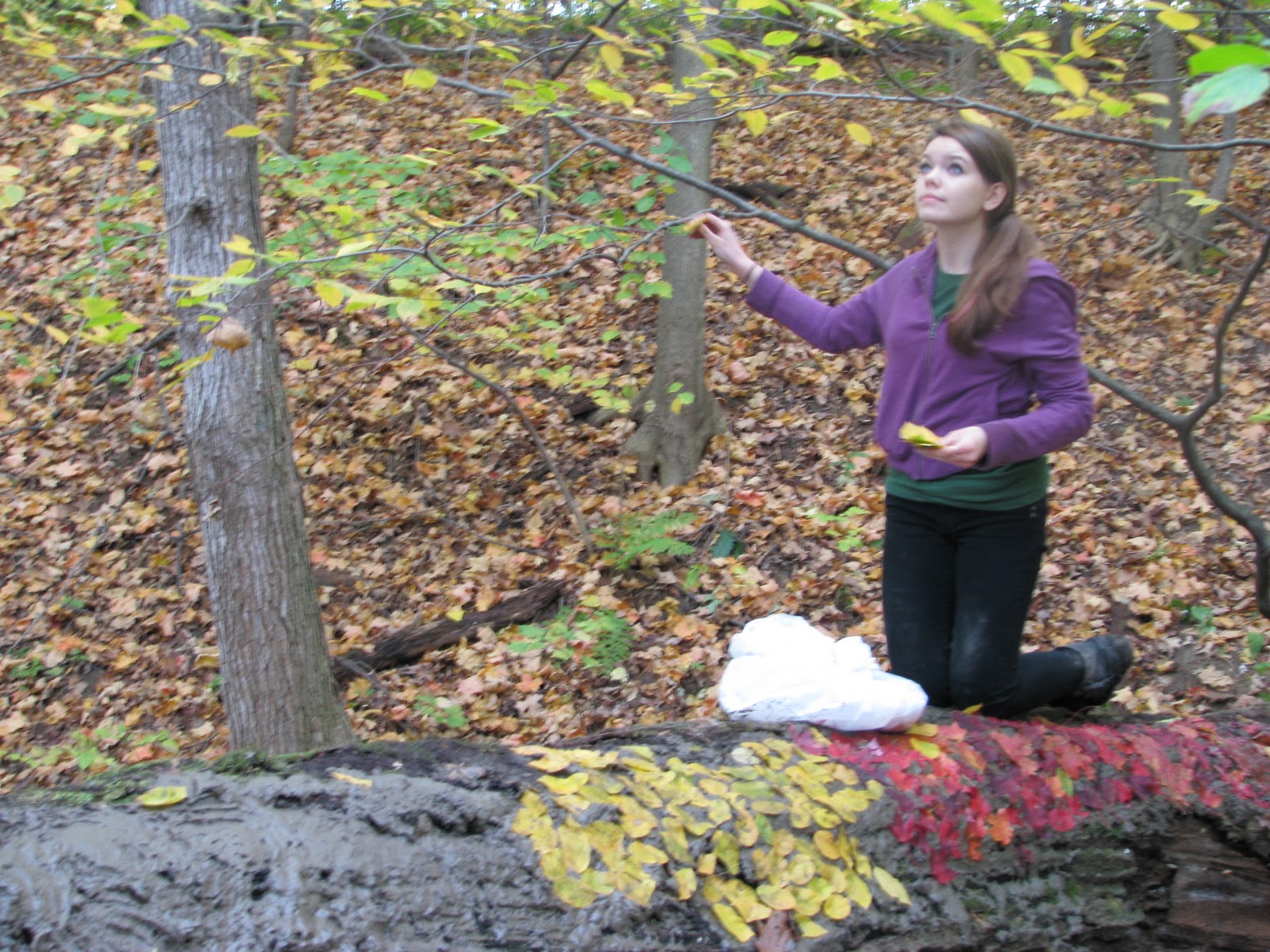 Maple Hill High School Art Land Art/ Earthworks 2011!