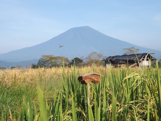 Gunung Dempo Pagaralam