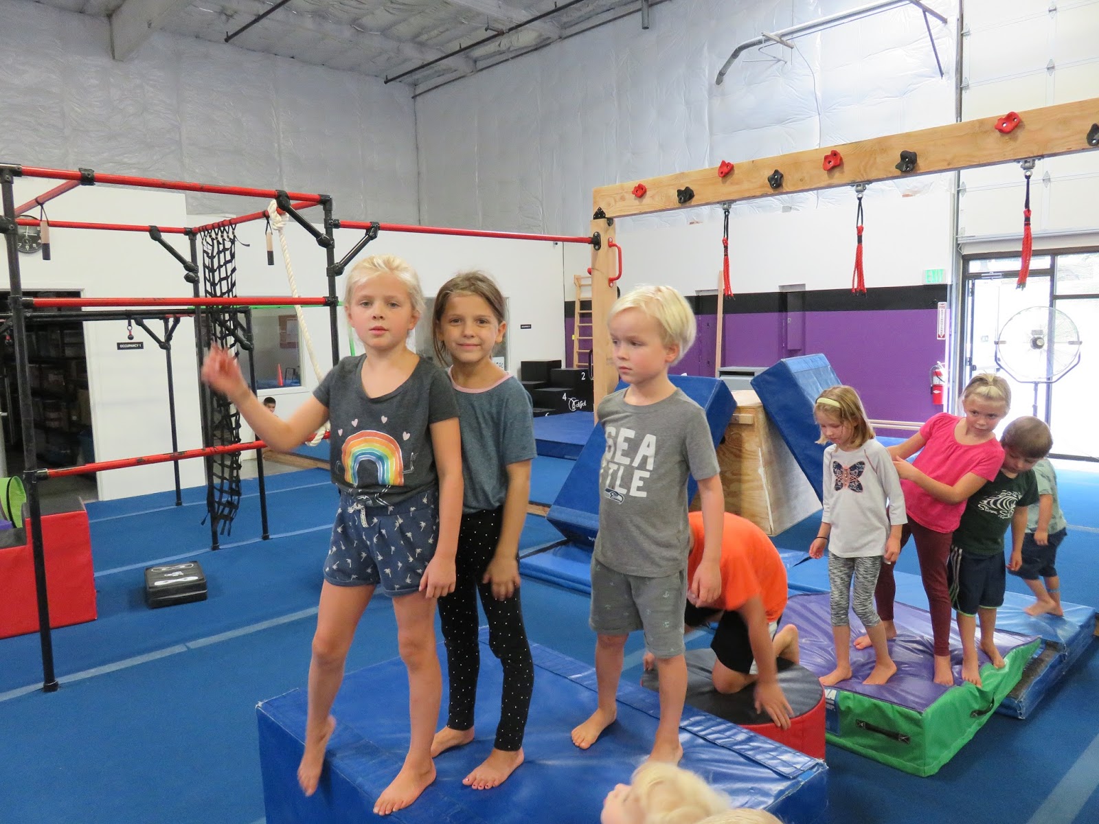 Our Family Reed's Gymnastics Birthday Party!