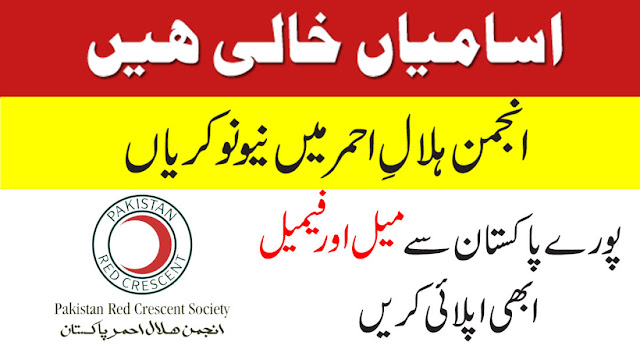 New Year New Job Em S Mixed Bag