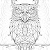 Top 10 Hard Owl Coloring Pages Adult Drawing