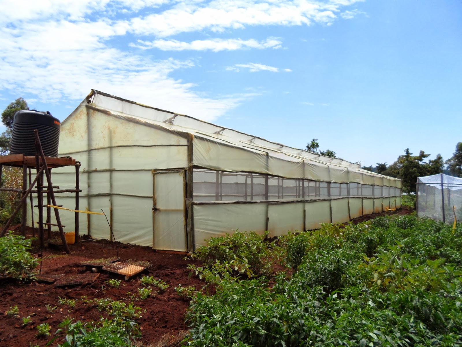 Greenhouse Kenya company[+254723053026]