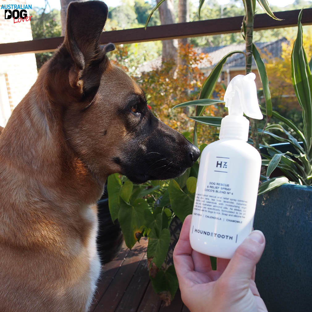 Houndztooth Dog Shampoos & Sprays Review Australian Dog Lover