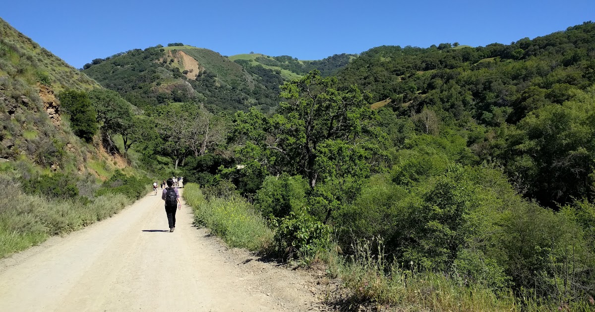 Naturetastic Blog Sunol Regional Wilderness Sunol, CA (Cellphone Photos)