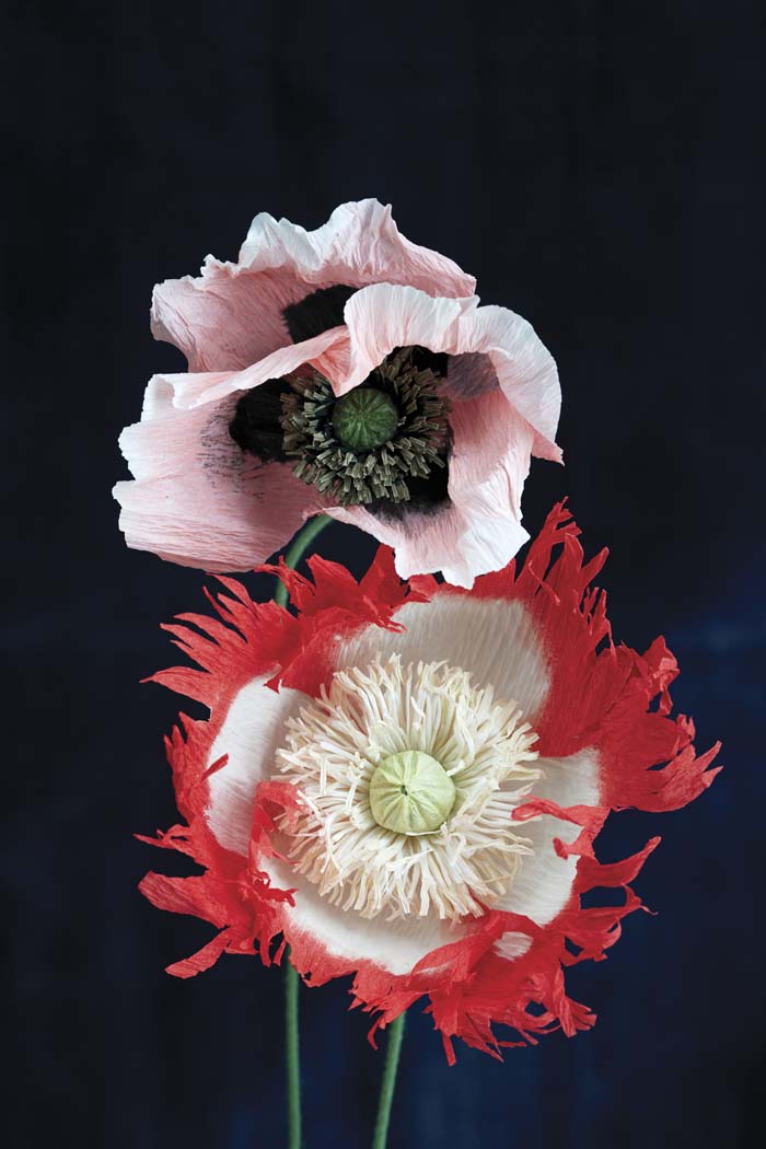 Book Giveaway + Sneak Peek The Fine Art of Paper Flowers Poppytalk