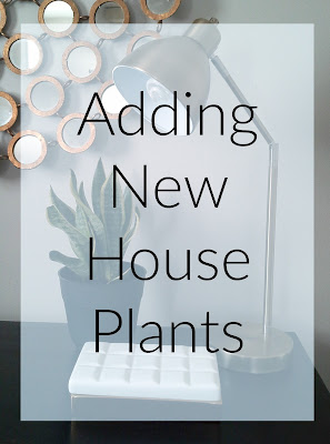 Adding New House Plants