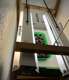 chili 840 865 leuchtstoffröhre