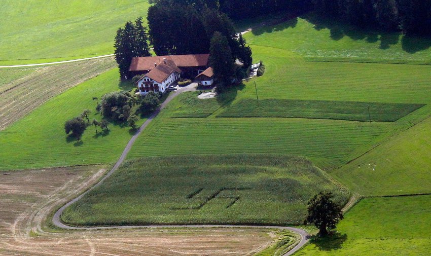 Mysterious Forest Swastika in Germany Remained Unnoticed