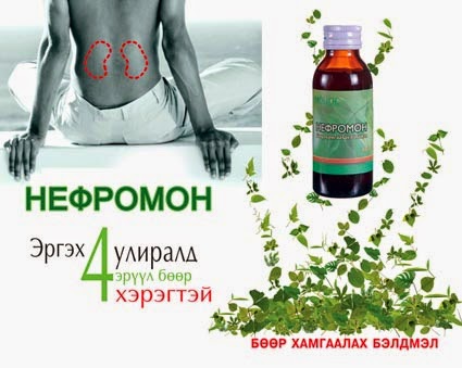 ЭМИЙГ ЯАЖ ХЭРЭГЛЭХ ВЭ?: Нефромон