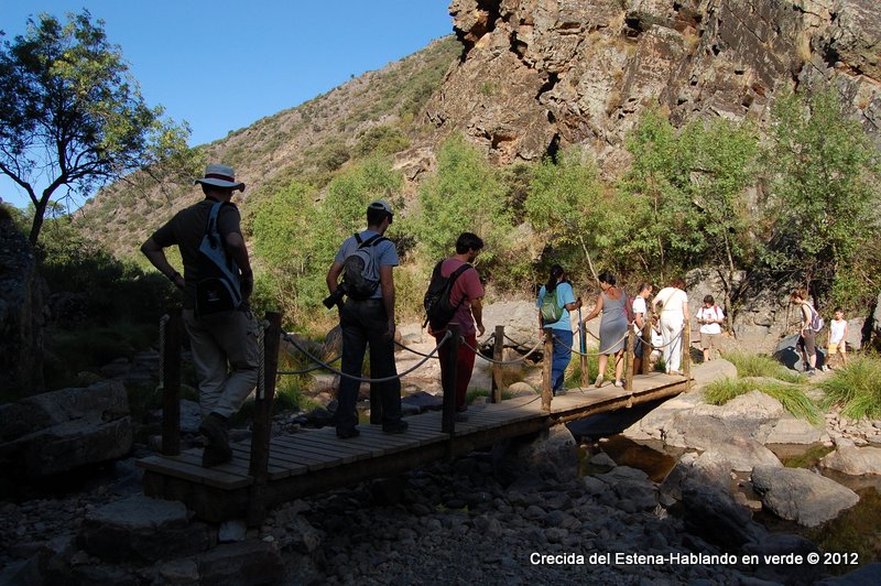 Hablando en verde Crecida del Río Estena