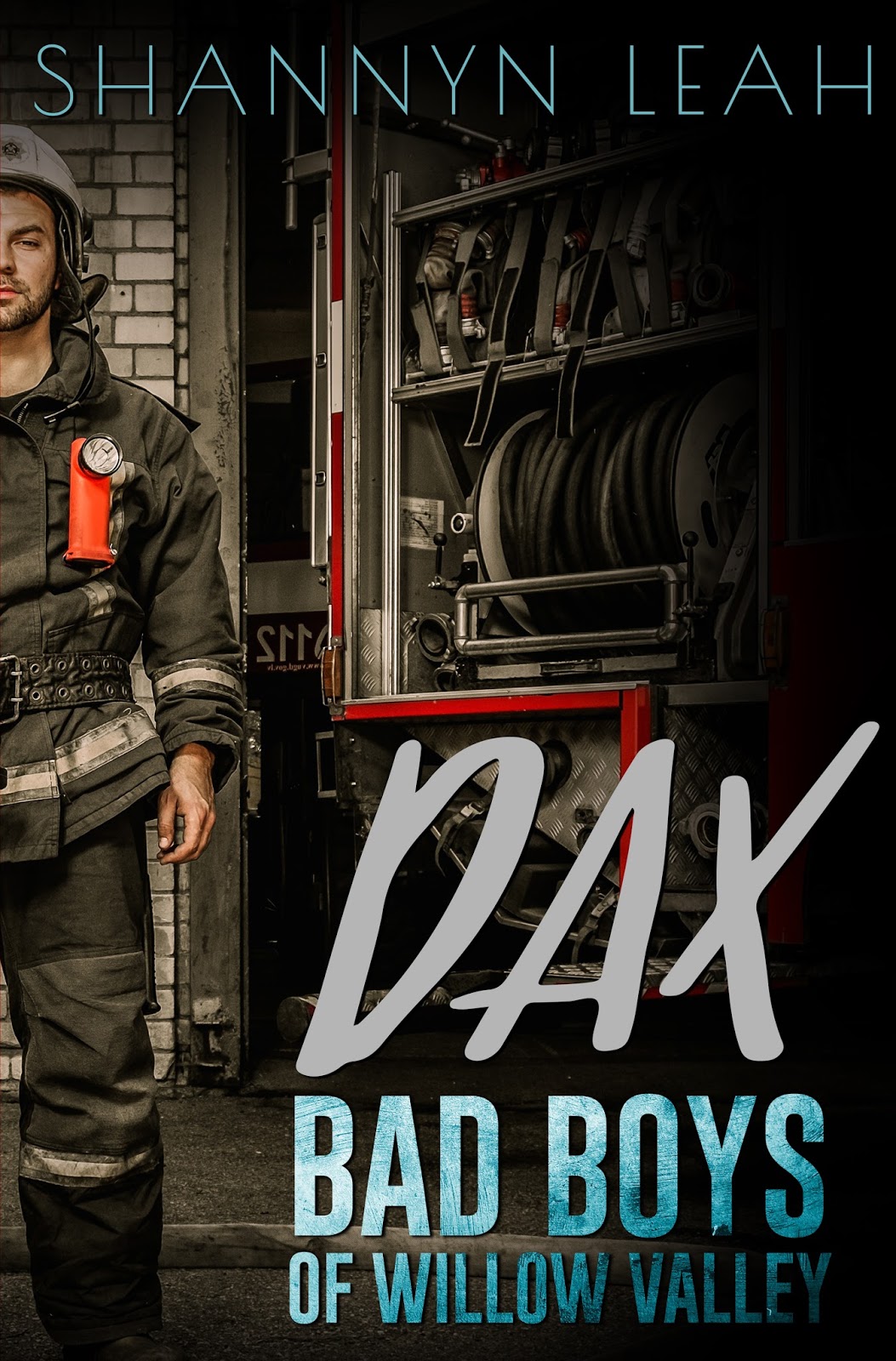 Books a Plenty Book Reviews Dax by Shannyn Leah
