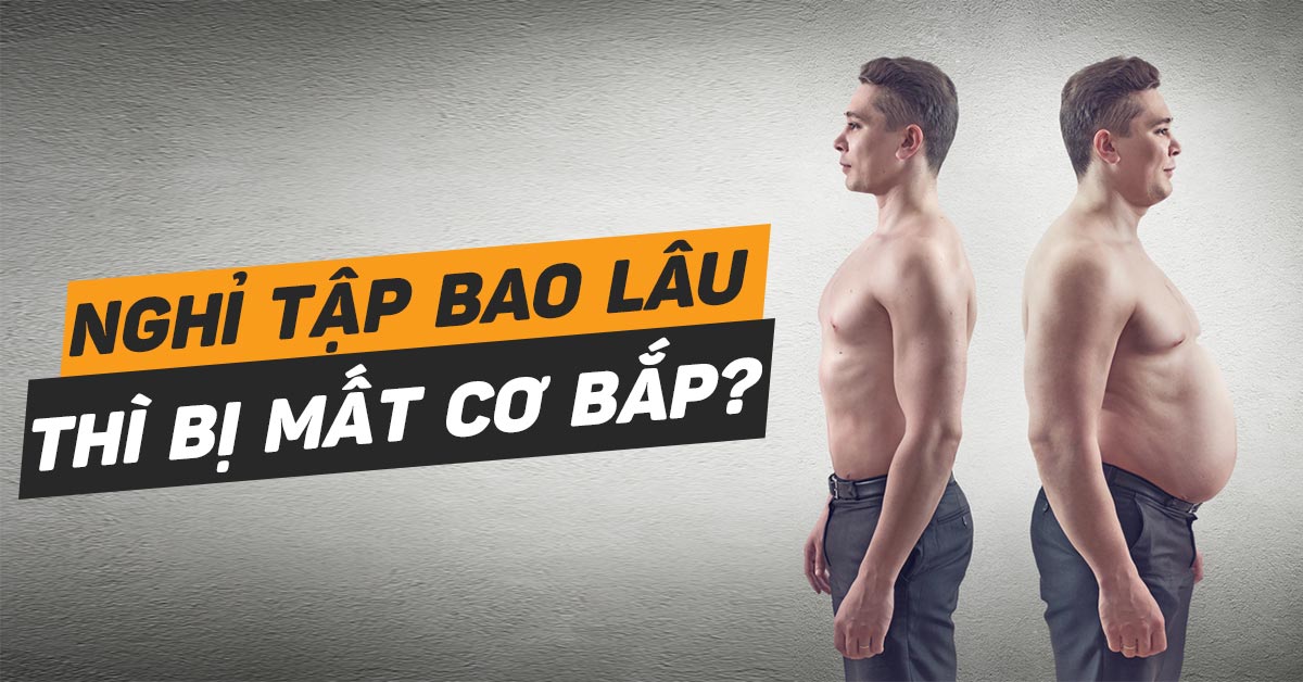 Nghỉ tập gym bao lâu bị mất cơ bắp? Đọc ngay trước khi quá muộn | Thể Hình  Nam | Chia sẻ kiến thức thể hình tốt nhất cho mọi người