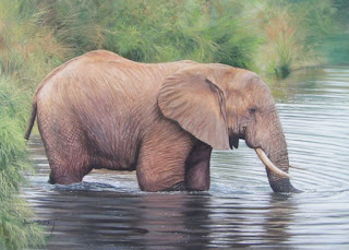 animales-en-agua-pintura-realista