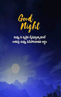 5 Amazing Good Night Quotes in Telugu-Telugu4fun