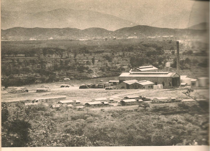 CENTRAL AZUCARERO DE UREÑA en 1955: