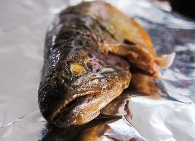 the indolent cook hot smoked trout salad