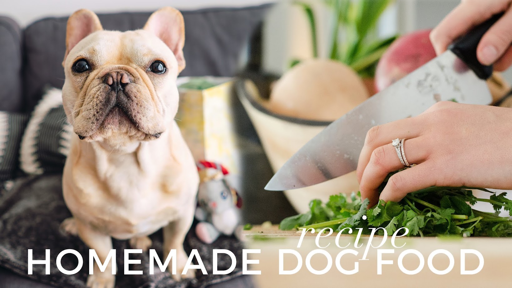 julia caban Homemade Dog Food Recipe How To Cook Food For Your Frenchie