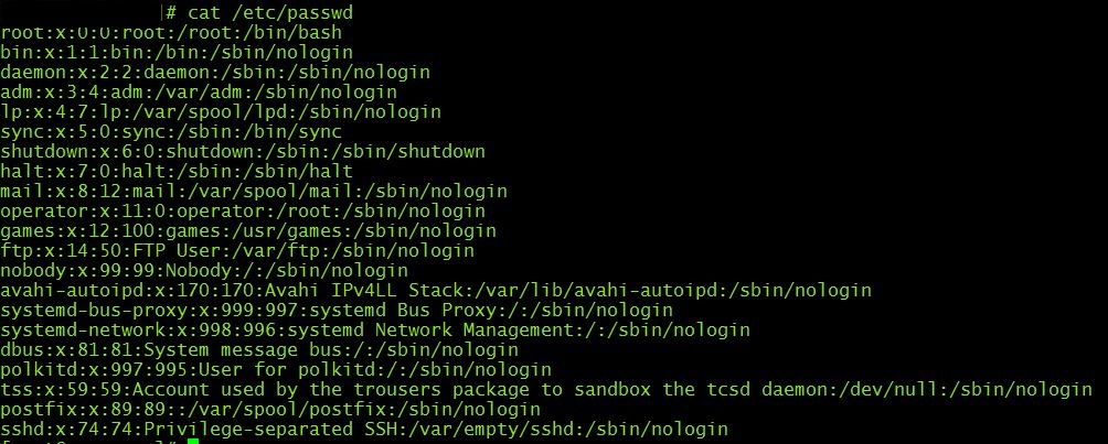 ;{cat,/etc/passwd}. /passwd%00. Etc/passwd расшифровка. Grep логи. этичный хакинг.