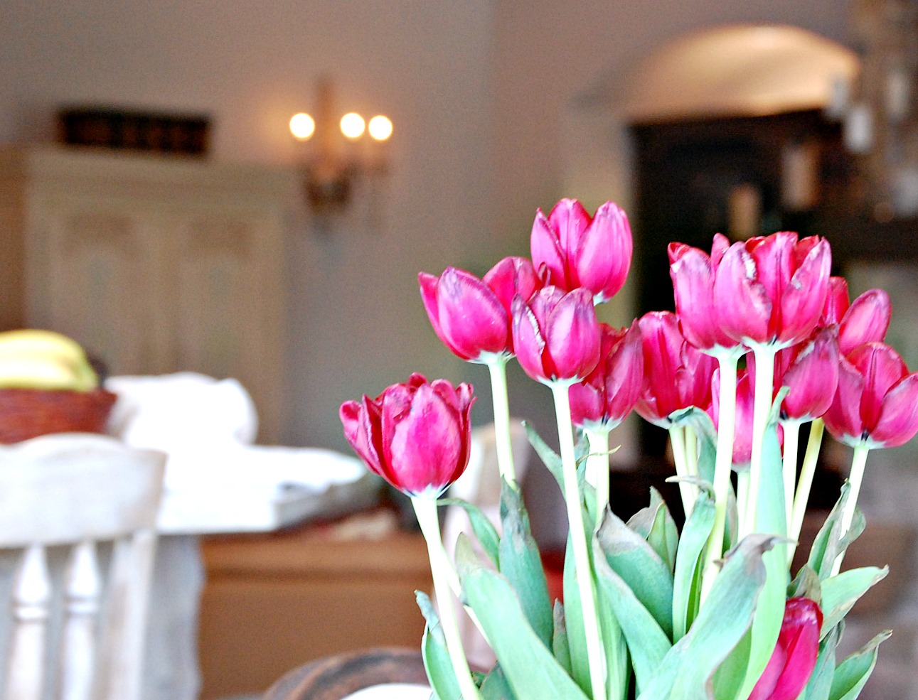 5 Tips For Caring For Fresh Cut Tulips At Home with Jemma