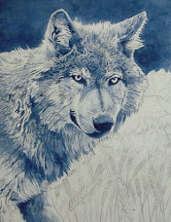 wolf acrylic painting hawley alan illustration