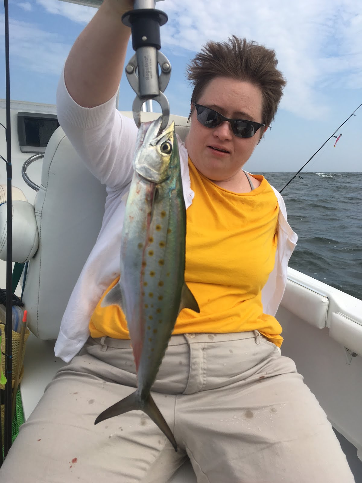 Jersey Cape Guide Service Blues, Sea Bass, Spanish Mackerel