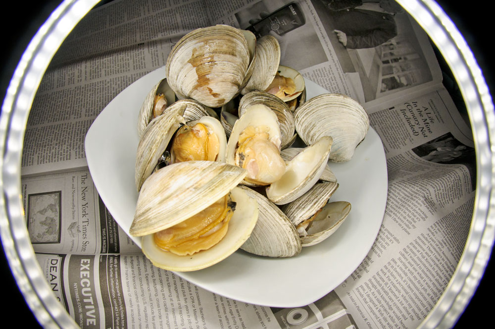 Carla's Tasty Treats White Wine Steamed Clams