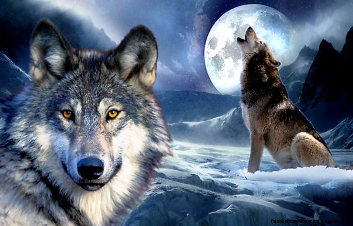 3D Wolf Wallpapers   Android Apps on Google Play