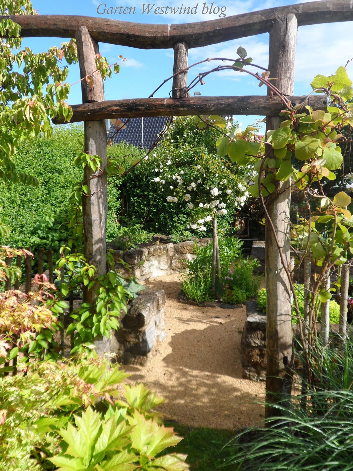 Garten Westwind, ein kleiner Familiengarten Anbau von Gemüse im Hochbeet