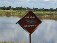 Warning Gators