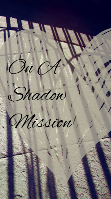 On a Shadow Mission a guest post by Marissa @ Reading List