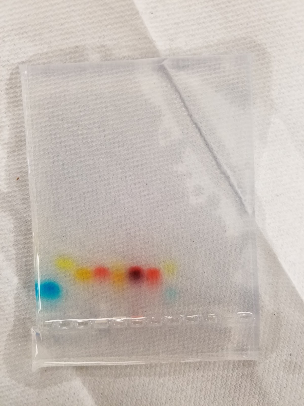 Mr. Orre Biology 201617 Karthi Sankar Candy Electrophoresis Lab