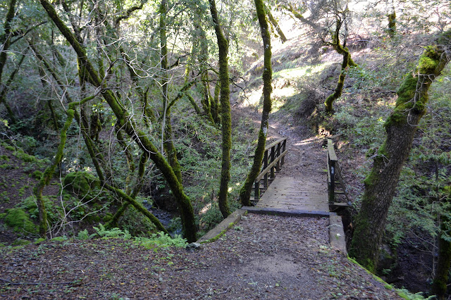 bridge and trail