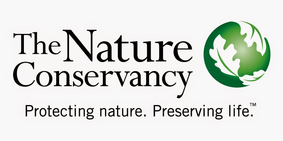 The Nature Conservancy Vacancy: Accountant - Jakarta, Indonesian
