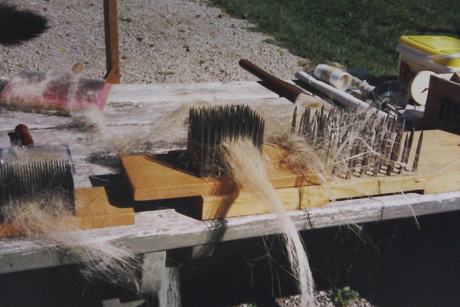 MOSTLY ABOUT FLAX Growing and Processing Flax (with photos)