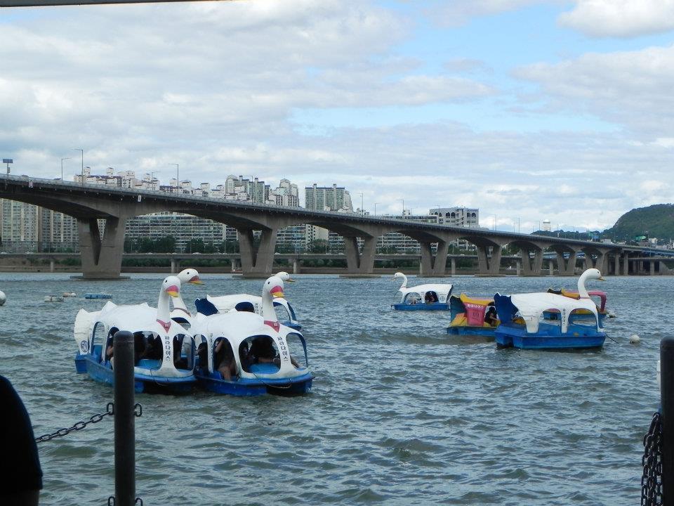 Josh and Leah's Korean Adventures Korean Duck/Swan Boats