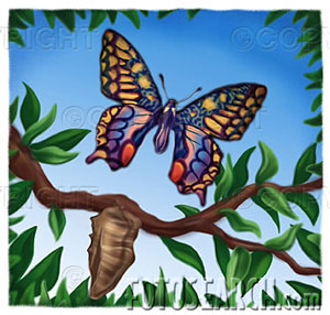 Cocoon and the Butterfly (Short Story)
