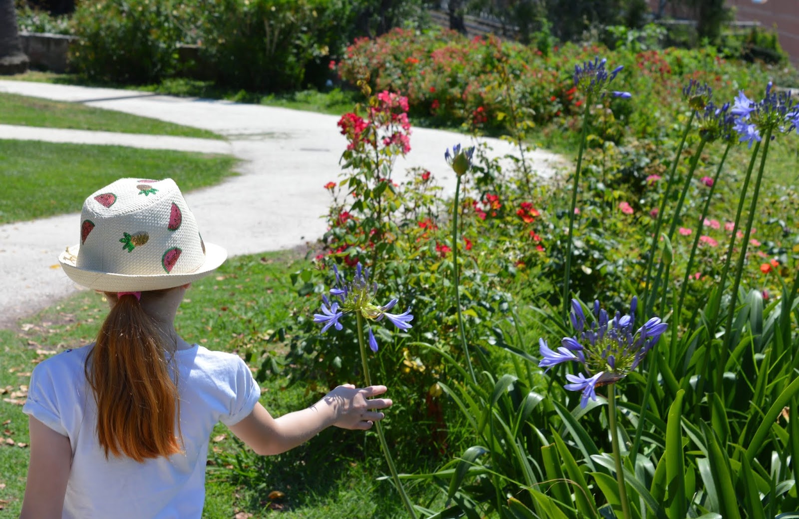 How to spend a weekend in Genoa with kids - Nervi award winning rose garden