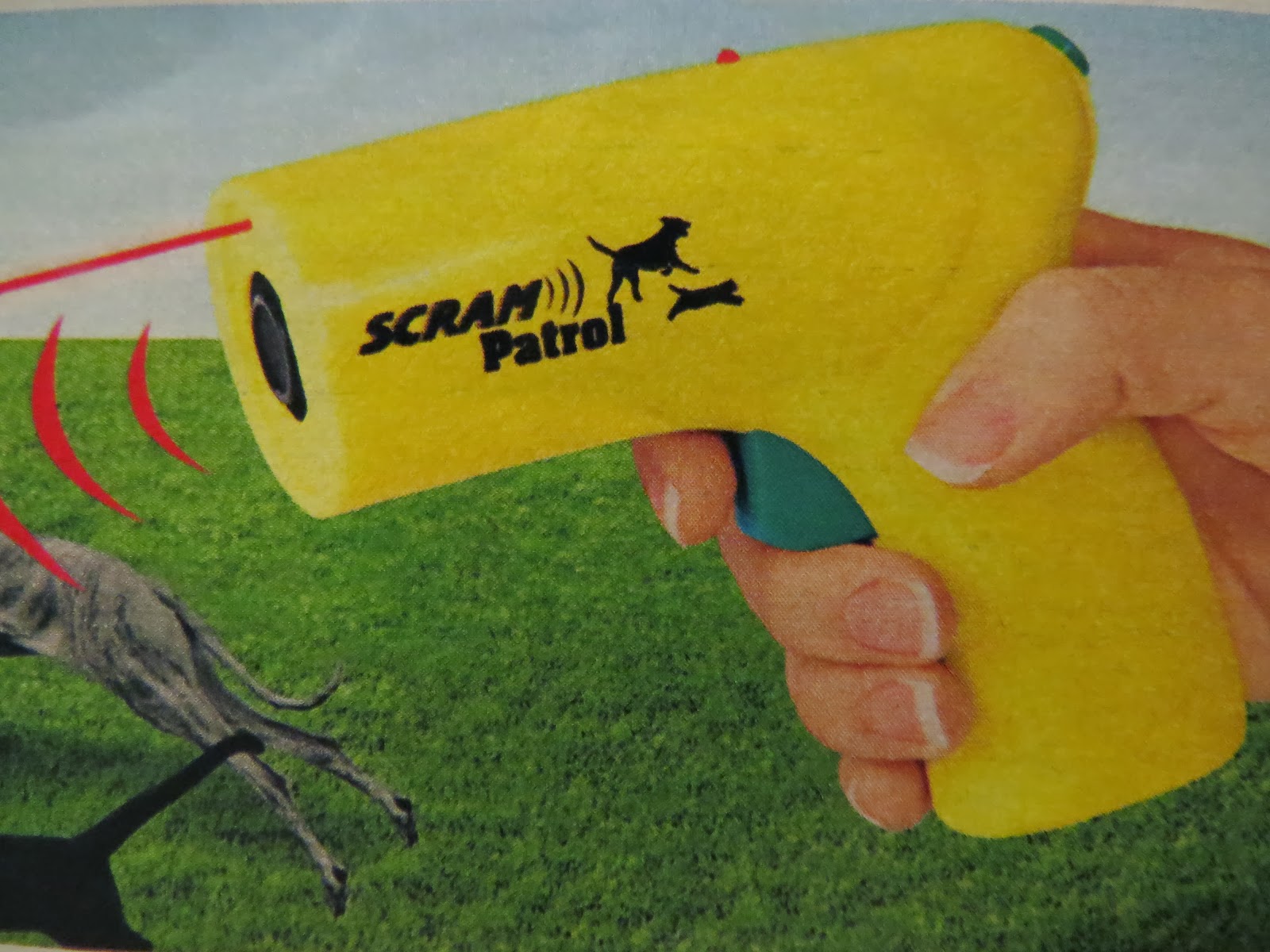 Pluperfecter Steven Streight on SEO and marketing Peoria