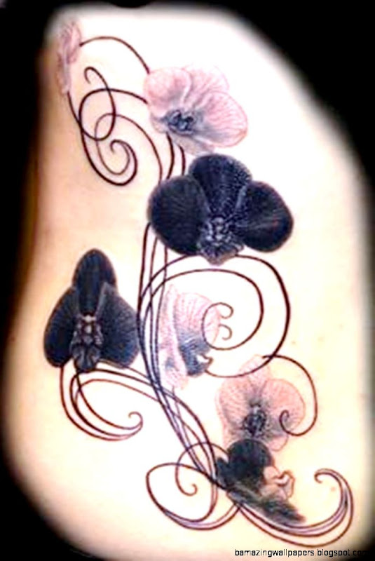 30 Awesome Orchid Tattoos Designs