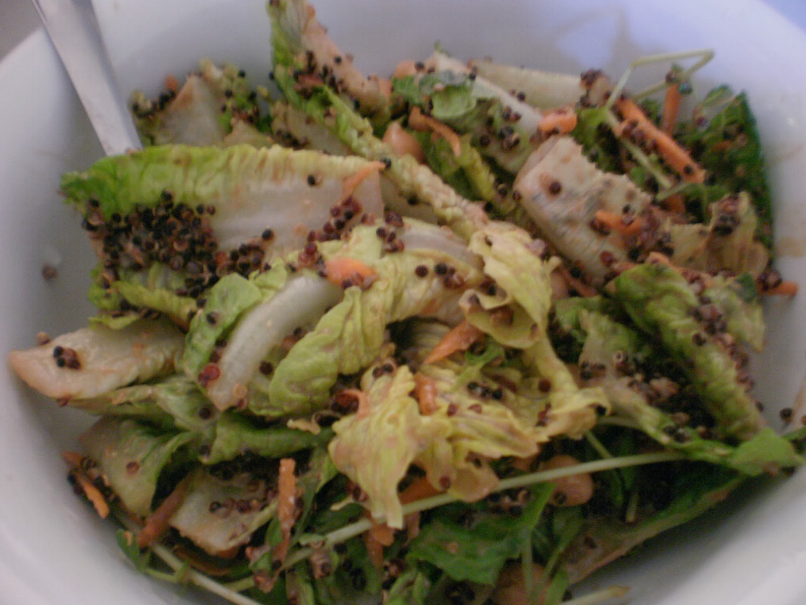 Vegan4Life Everyday Chickpea and Quinoa Salad with Balsamic Vinaigrette