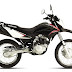 Step Up to Your Next Challenge with the Honda XR150L