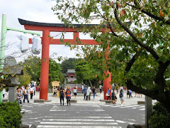 �߉������{�O�̒���