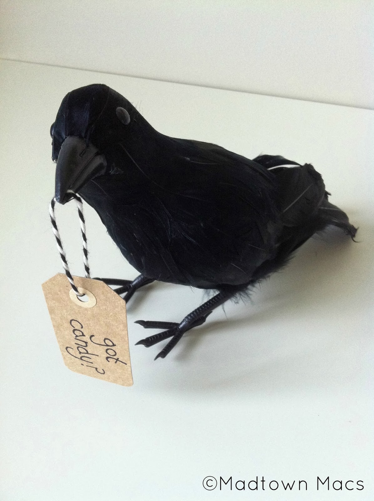 Spooky Halloween Birds Give them a job. Charisa Darling