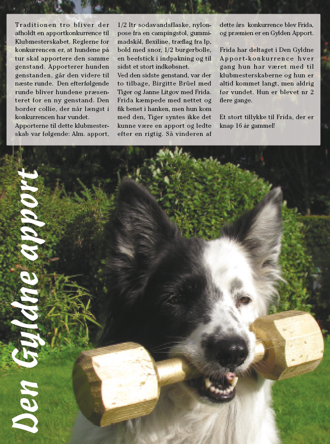 Frida, Wilma og Asta�s blog