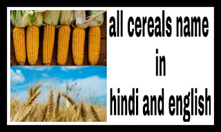 cereals name in hindi and english