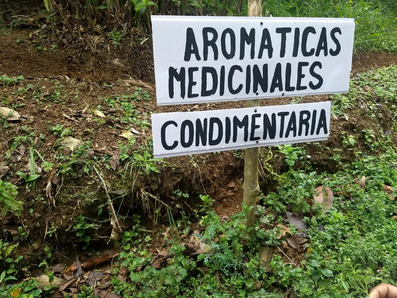 SALIDA DE CAMPO SALIDA DE CAMPO