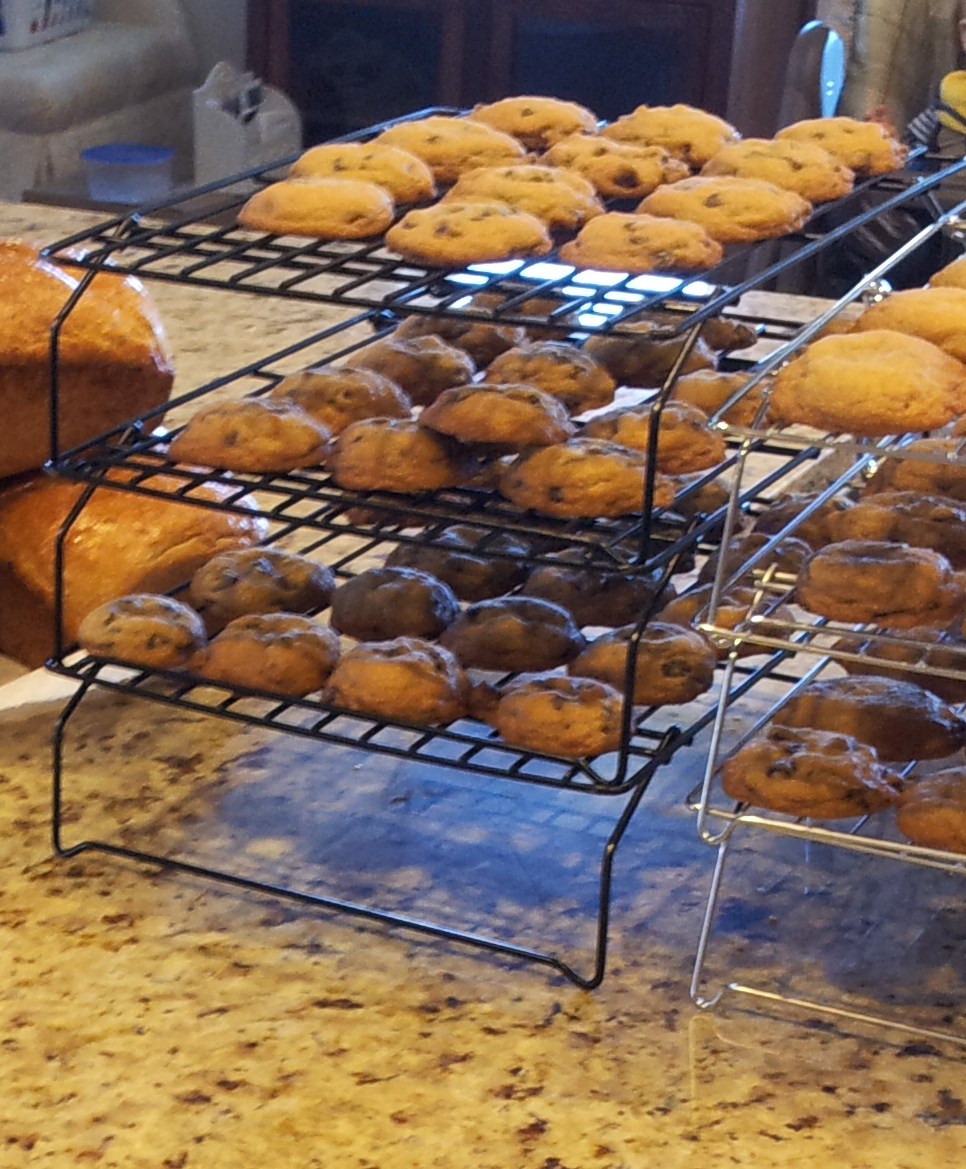 Recipe'n & Ruminatin' Chocolate Chip aka Poop Cookies!