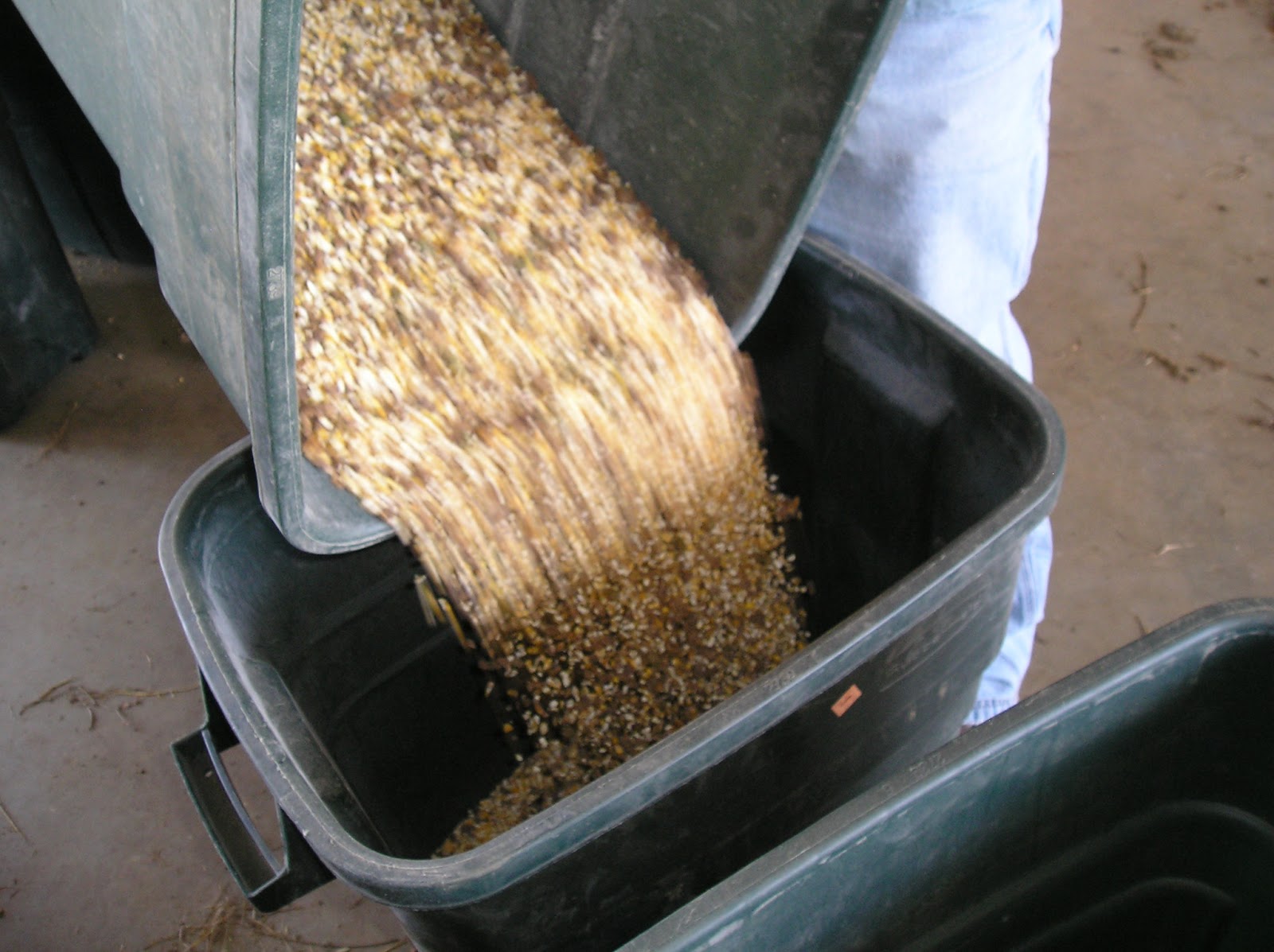 Thoughts from Frank and Fern Mixing Feed for Animals