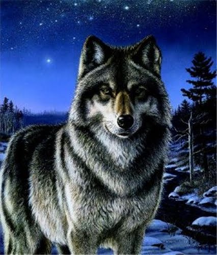White Wolf : James Meger - Wildlife artist who paints with hidden ...