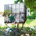 Em Santarém, colocar lixo na rua fora do dia e horário da coleta gera multa